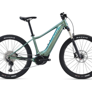 Vall-E+ 1 25km/h S Fanatic Teal